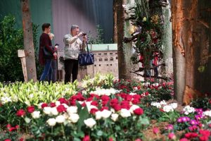 Die Blumenhalle 2 ist einer der Besuchermagneten der Grünen Woche in Berlin. (Foto: Messe Berlin)